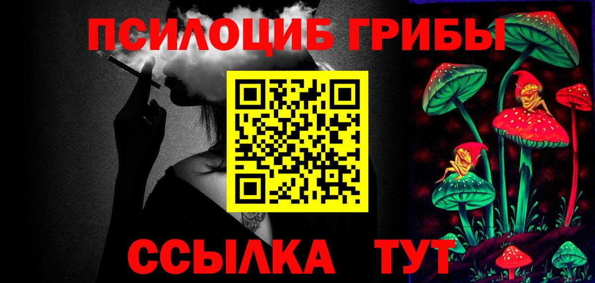 Псилоцибиновые грибы Psilocybe Сухой Лог